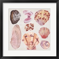 Ocean Sounds III Framed Print