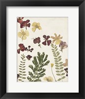 Framed Pressed Flower Arrangement I