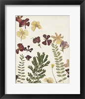 Framed 'Pressed Flower Arrangement I' border=