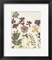 Framed 'Pressed Flower Arrangement IV' border=