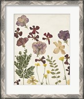 Framed Pressed Flower Arrangement IV