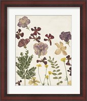 Framed Pressed Flower Arrangement IV