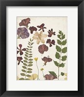 Framed Pressed Flower Arrangement VI