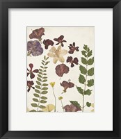 Framed 'Pressed Flower Arrangement VI' border=