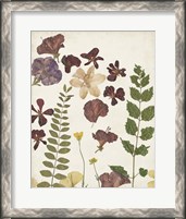 Framed Pressed Flower Arrangement VI