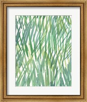 Framed Just Grass I