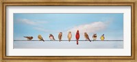 Framed Sweet Birds on a Wire I
