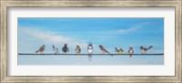 Framed Sweet Birds on a Wire II