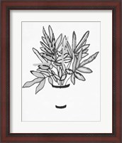 Framed B&W Indoor Plant IV