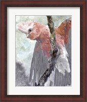 Framed Tropic Parrot II