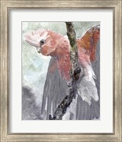 Framed Tropic Parrot II