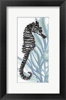 Framed Zebra Seahorse I