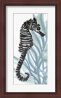 Framed Zebra Seahorse I