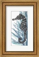 Framed Zebra Seahorse II