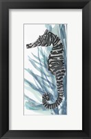 Framed Zebra Seahorse II