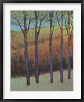 Glimmer in the Forest II Framed Print