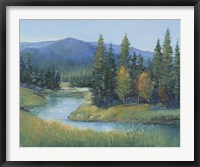 Framed Trout Stream II