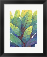 Framed Sunlit Banana Leaves II