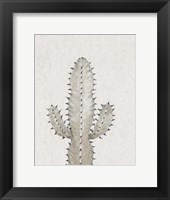 Framed Cactus Study I