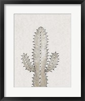 Framed Cactus Study I