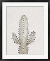Framed Cactus Study I
