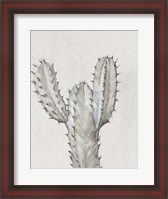 Framed Cactus Study II