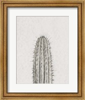 Framed Cactus Study III