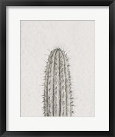 Framed Cactus Study III