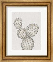 Framed Cactus Study IV