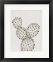 Framed Cactus Study IV