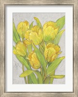 Framed Yellow Tulips I