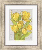 Framed Yellow Tulips II