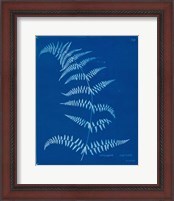 Framed 'Cyanotype Ferns I' border=