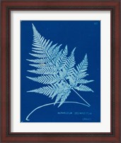 Framed 'Cyanotype Ferns II' border=