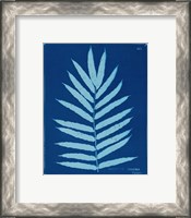 Framed 'Cyanotype Ferns III' border=