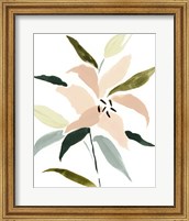 Framed Lily Abstracted I