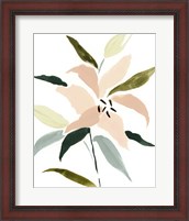 Framed Lily Abstracted I