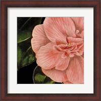 Framed 'Dramatic Camellia I' border=