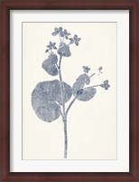 Framed Navy Botanicals VI