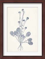 Framed Navy Botanicals VIII
