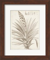 Framed Sepia Exotic Plants III