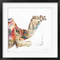 Framed Desert Camel I