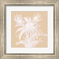 Framed Echinacea III