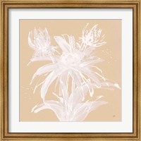 Framed Echinacea III