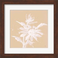 Framed Echinacea II