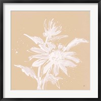 Framed Echinacea II