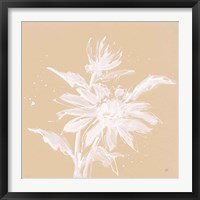 Framed 'Echinacea II' border=