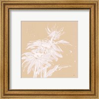 Framed 'Echinacea I' border=