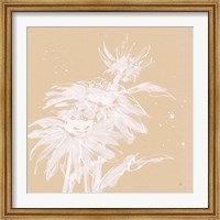 Framed Echinacea I