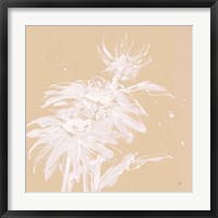 Framed 'Echinacea I' border=